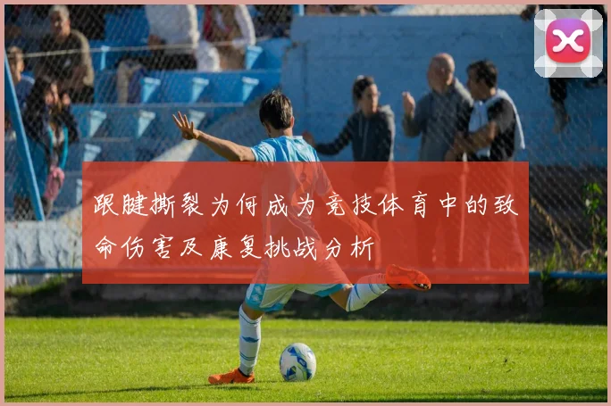 跟腱撕裂为何成为竞技体育中的致命伤害及康复挑战分析
