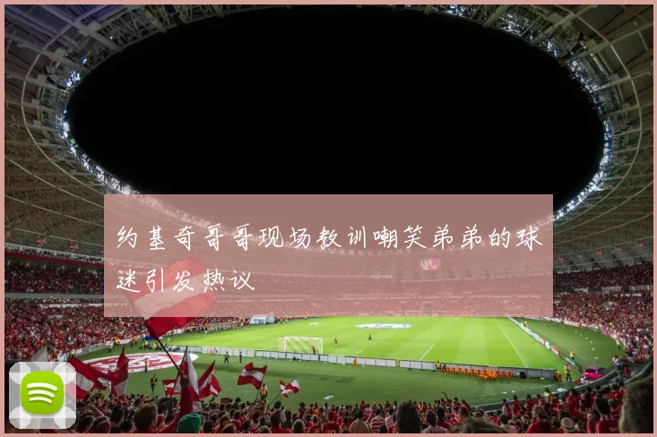 约基奇哥哥现场教训嘲笑弟弟的球迷引发热议
